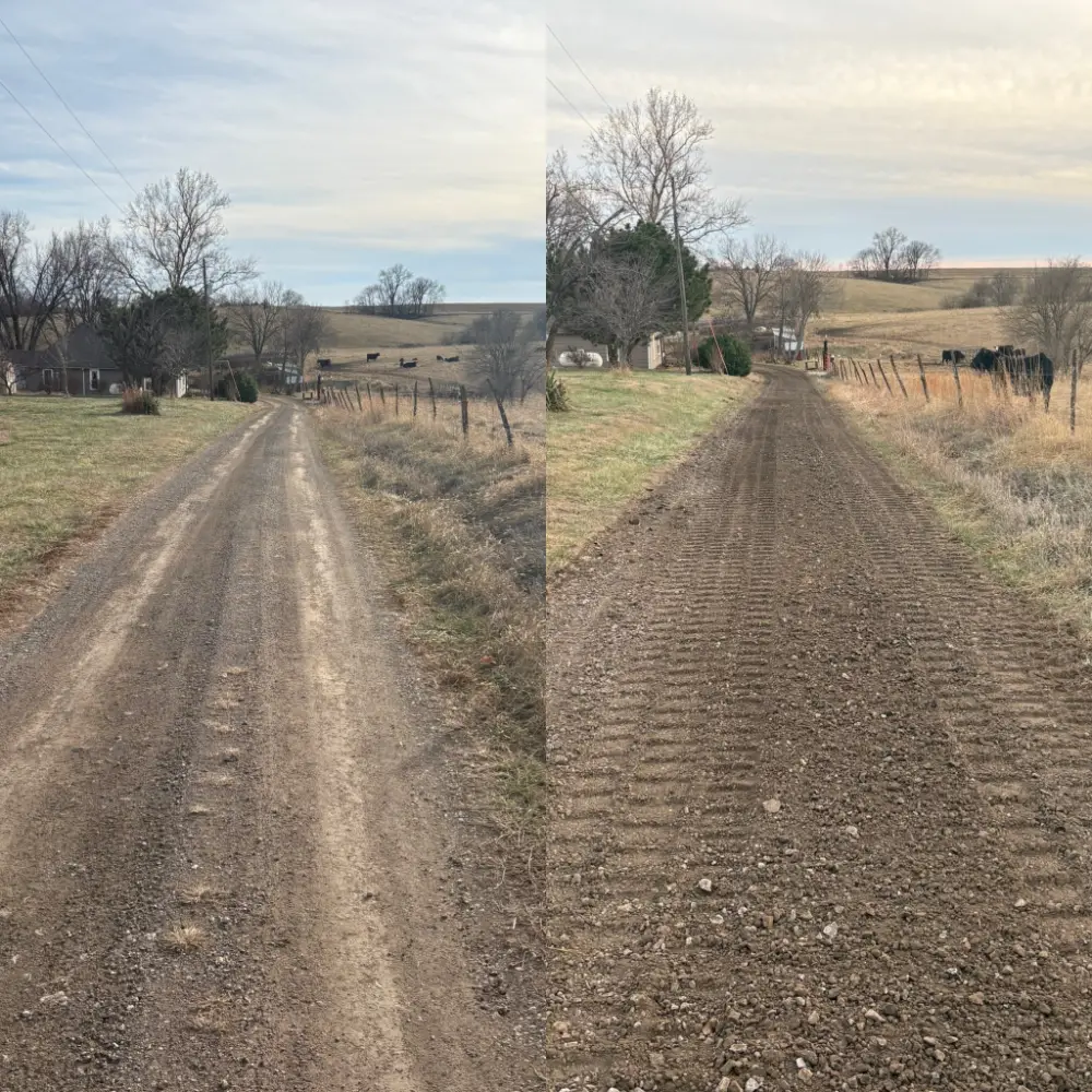 A rural dirt road splits into two tracks through rolling fields, with fences, bare trees, farm buildings, and grazing cattle under a calm sky.