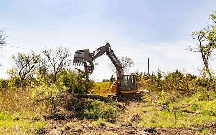 A heavy machinery excavator with a claw attachment clearing trees and brush in a rural area.