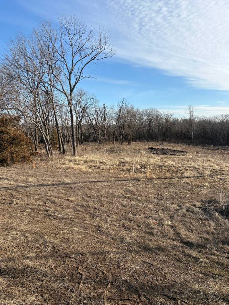 Land Clearing & Site Preparation – Louisburg, KS image 1