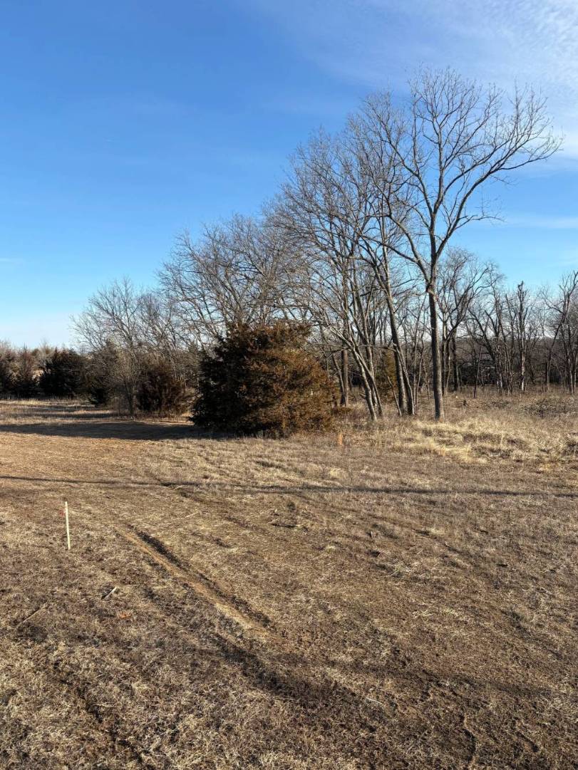 Land Clearing & Site Preparation – Louisburg, KS image 2