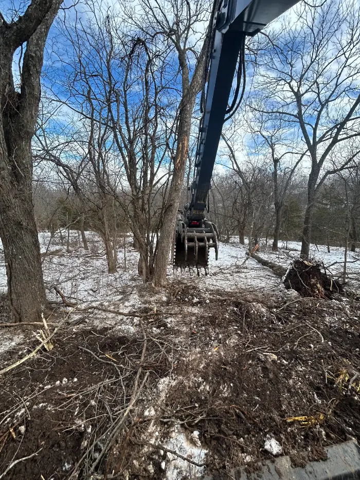 Excavator with a grapple clears fallen branches in a snowy, leafless woodland under a bright blue sky, creating a rugged, industrious scene.