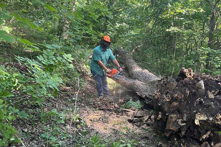 A person wearing a green checkered shirt and an orange hat uses a chainsaw to cut down a fallen tree in a wooded area.