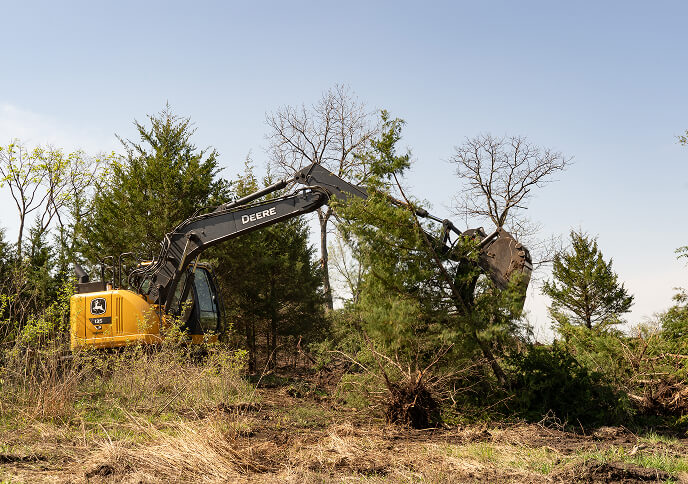 A yellow and black excavator is clearing trees in a field surrounded by sparse vegetation and some taller trees against a blue sky.