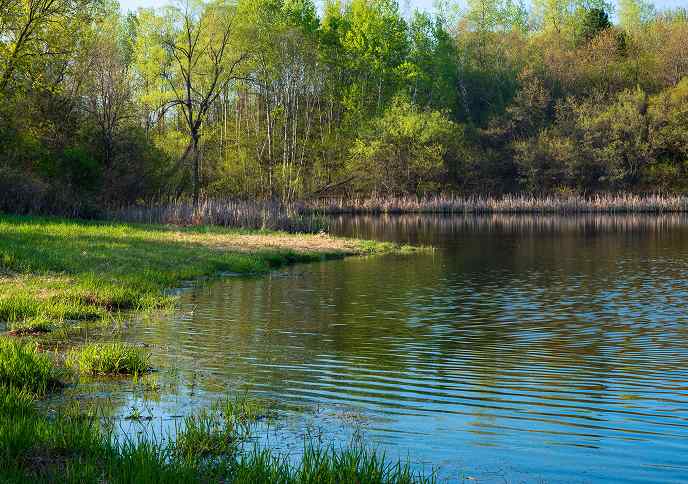 A peaceful lake surrounded by lush greenery and trees, with gently rippling water reflecting the landscape.