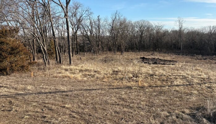 A vacant field with sparse vegetation and a few scattered trees under a clear sky.