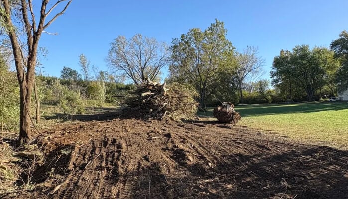A cleared area with piles of tree debris and a few trees in the background under a clear blue sky.