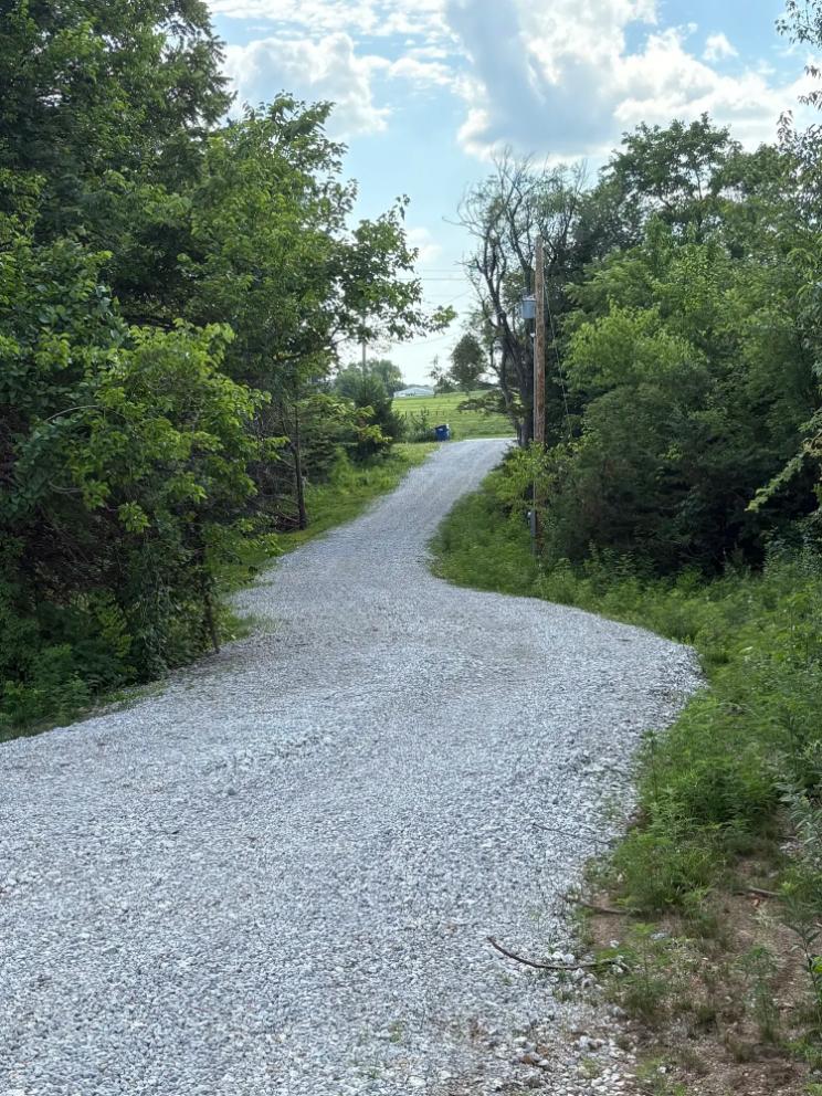 A gravel driveway or path winding through trees and greenery, leading towards a distant area with utility poles and a blue object visible in the background.